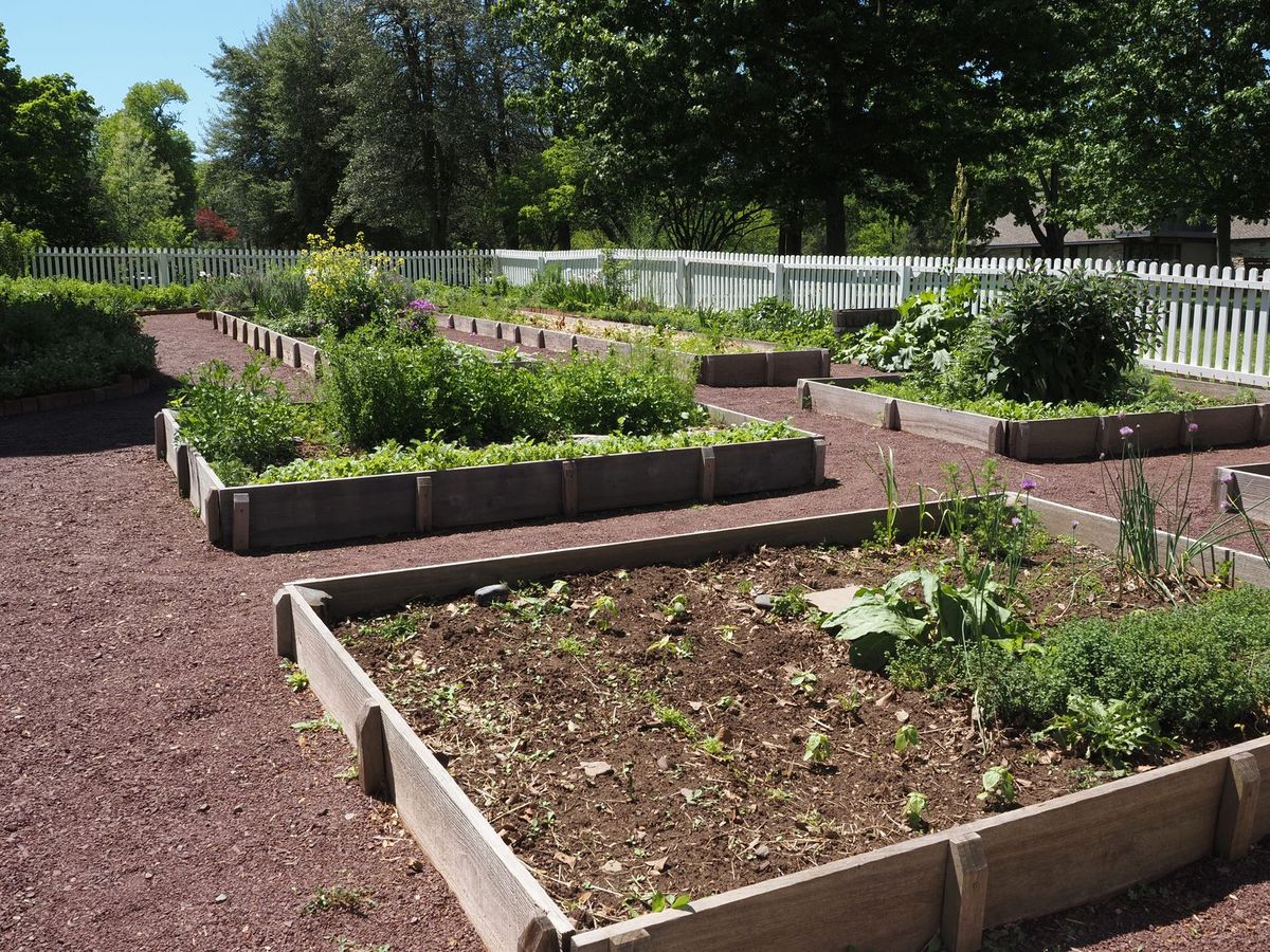 Voorbeeldpost: houten plantenbakken op een grindpad