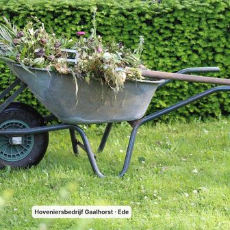 Voorbeeldpost van Hoveniersbedrijf Gaalhorst (fictief): Een strak geschoren haag — en de kruiwagen staat er al klaar. ✂️ Snoeiwerk is meer dan knippen alleen.